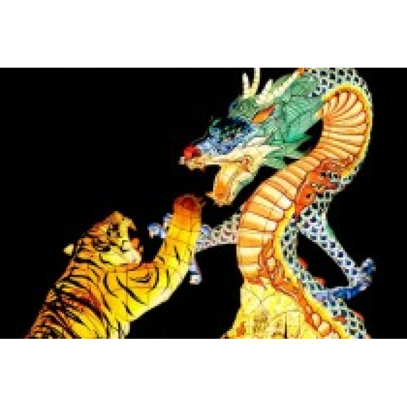 Mona Lisa diamond painting 50x40cm: tijger-draak 